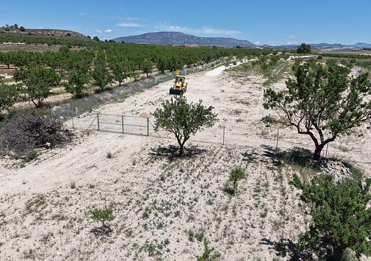 Land in Pinoso