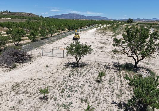 Land in Pinoso