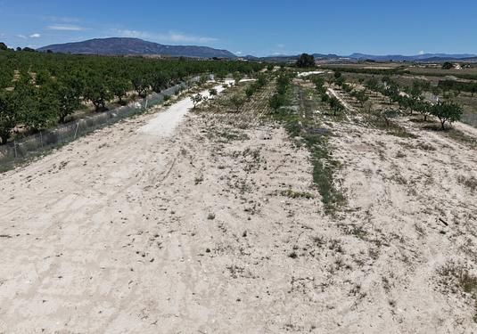 Land in Pinoso