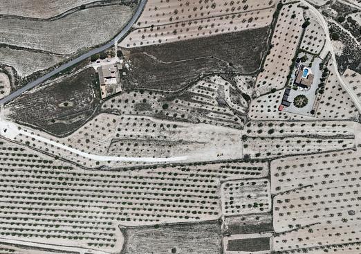 Land in Pinoso