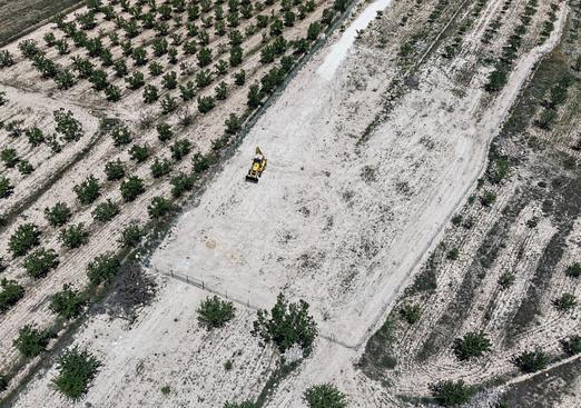 Land in Pinoso