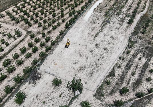 Land in Pinoso