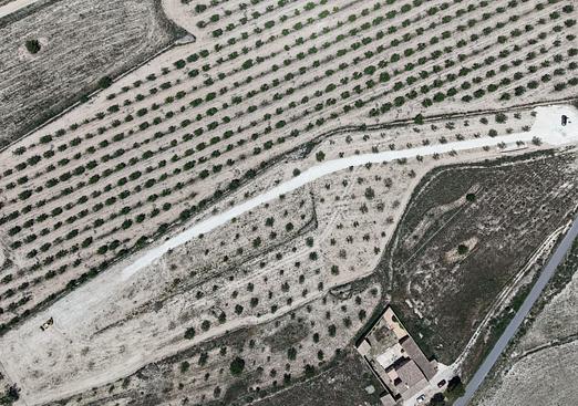 Land in Pinoso
