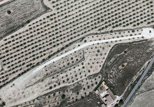 Land in Pinoso