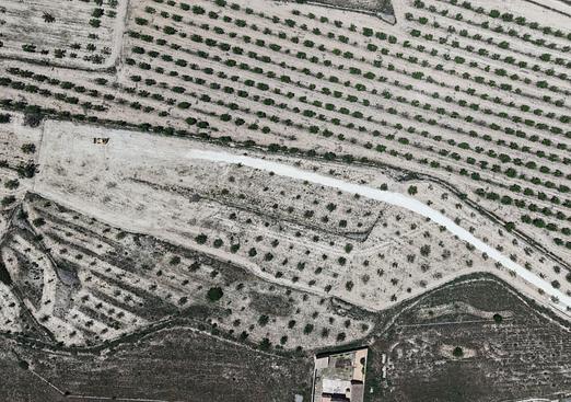 Land in Pinoso