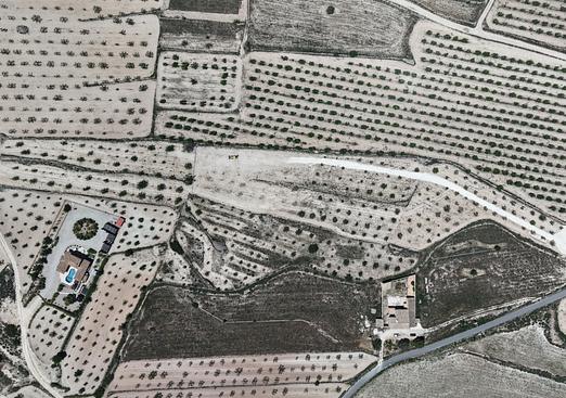 Land in Pinoso