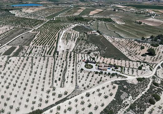 Land in Pinoso