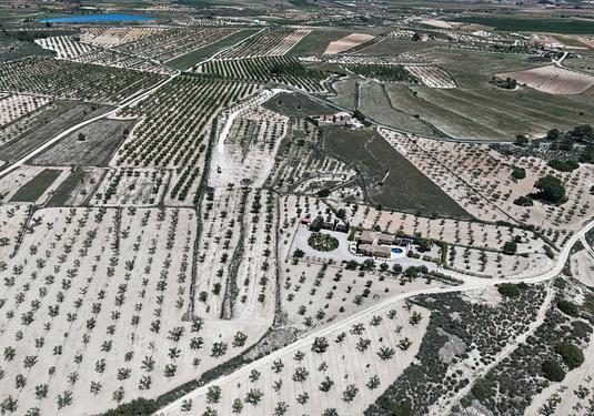 Land in Pinoso