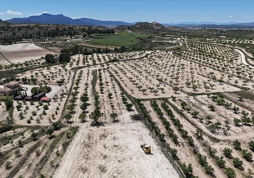 Land in Pinoso
