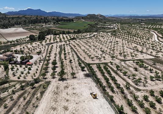 Land in Pinoso