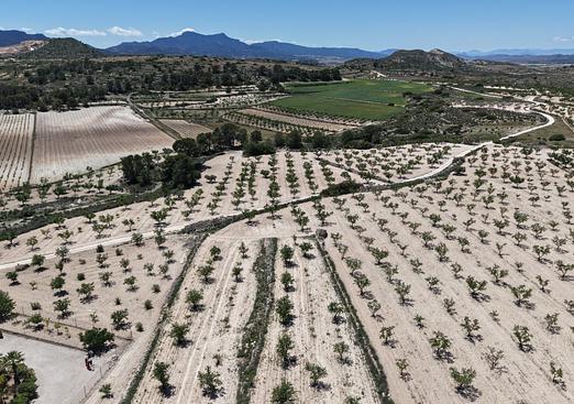 Land in Pinoso