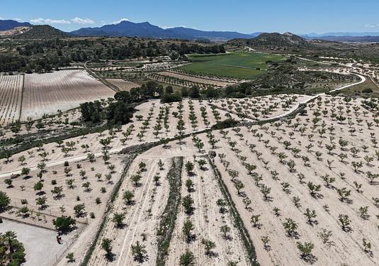 Land in Pinoso