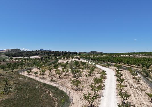 Land in Pinoso