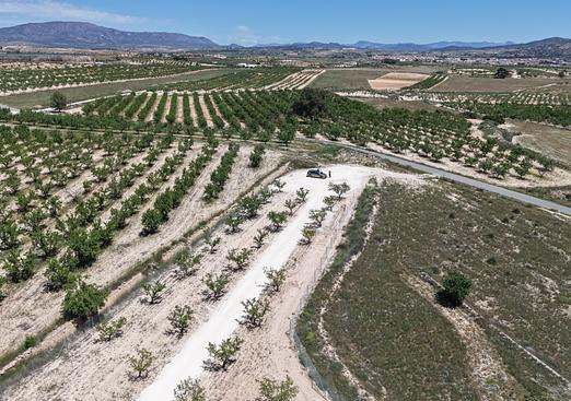 Land in Pinoso