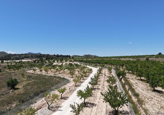 Land in Pinoso