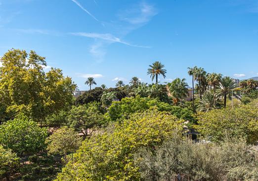Apartment in Palma De Mallorca