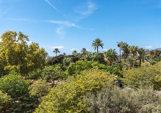 Apartment in Palma De Mallorca