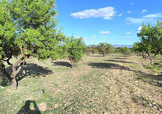 Land in Caudete