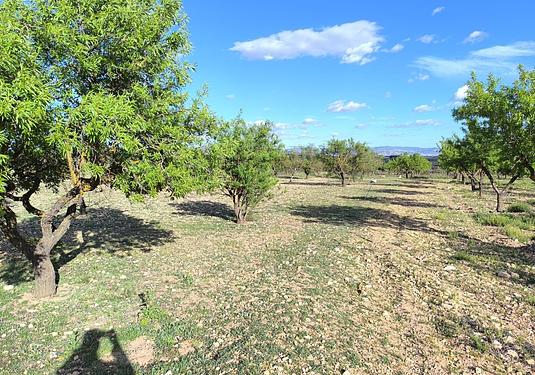 Land in Caudete