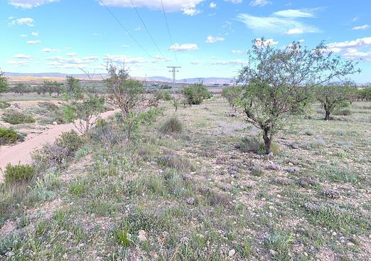 Land in Caudete