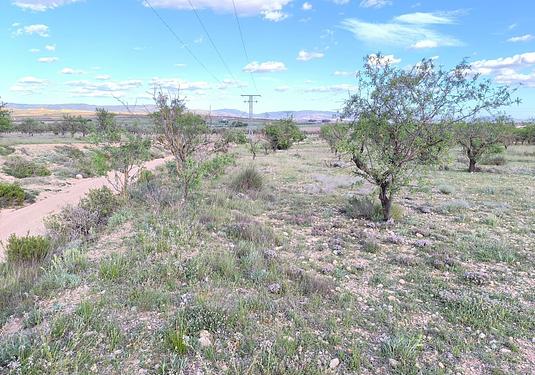 Land in Caudete