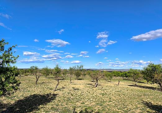 Land in Caudete