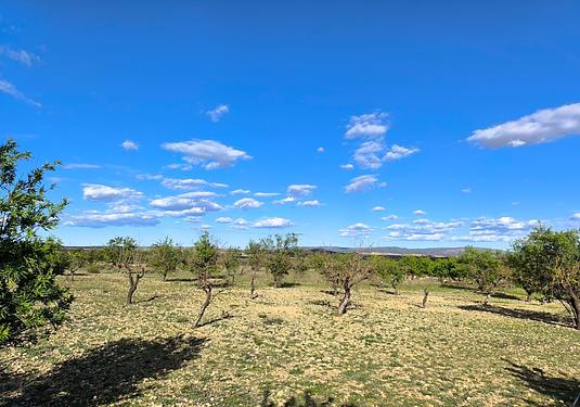 Land in Caudete