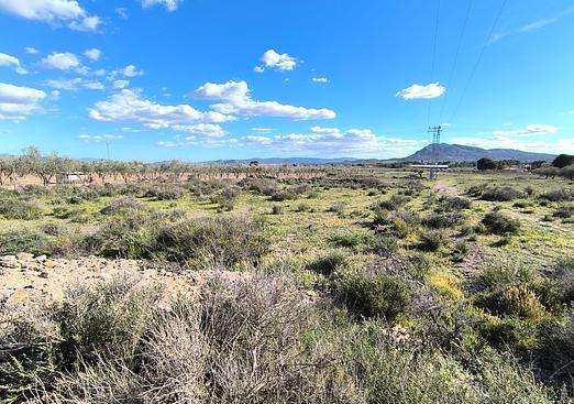 Land in Caudete