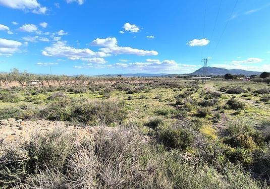 Land in Caudete