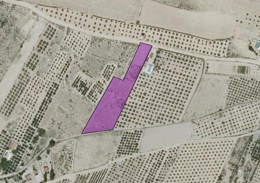 Land in Caudete