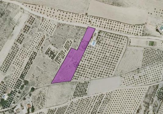 Land in Caudete