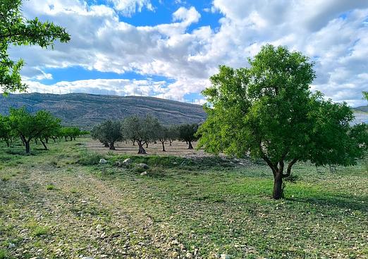 Land in Caudete