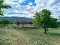 Land in Caudete