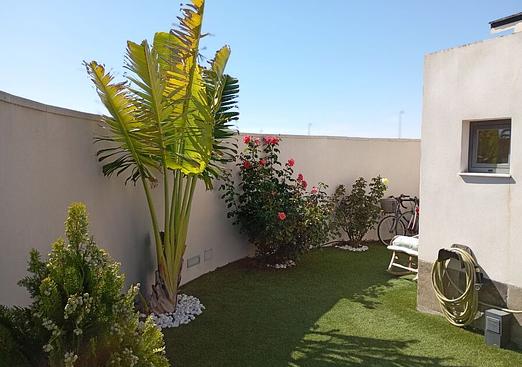 Villa in Daya Nueva