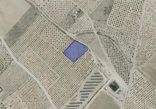 Land in Caudete