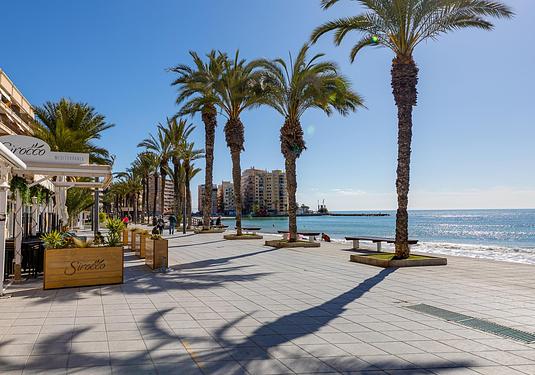 Apartment in Torrevieja