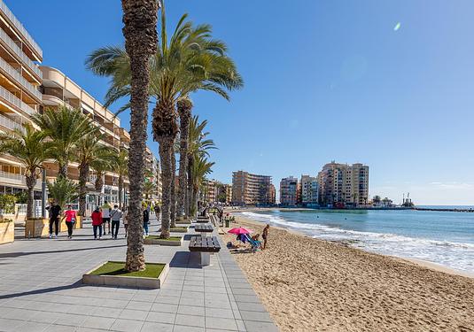 Apartment in Torrevieja