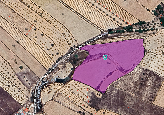Land in Casas Del Señor