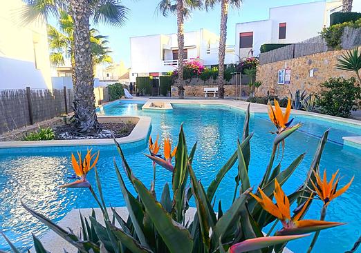 Apartment in Algorfa