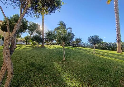 Apartment in Torrevieja