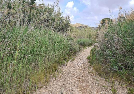 Land in Murcia