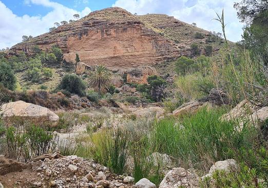 Land in Murcia
