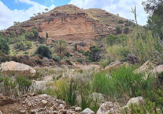 Land in Murcia