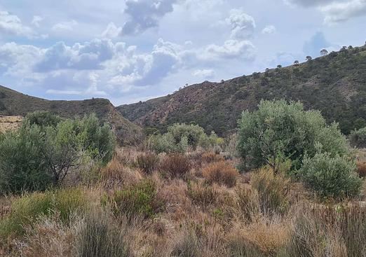 Land in Murcia