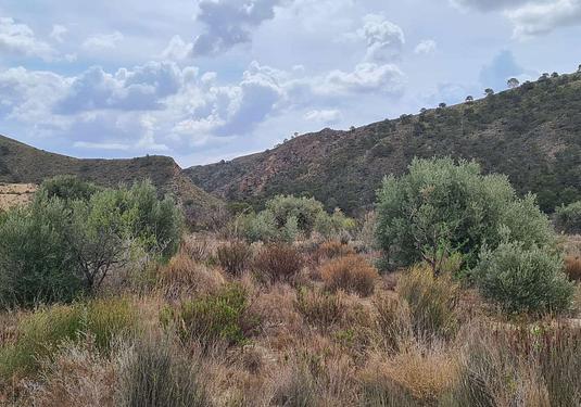 Land in Murcia