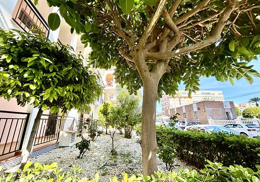 Apartment in Torrevieja