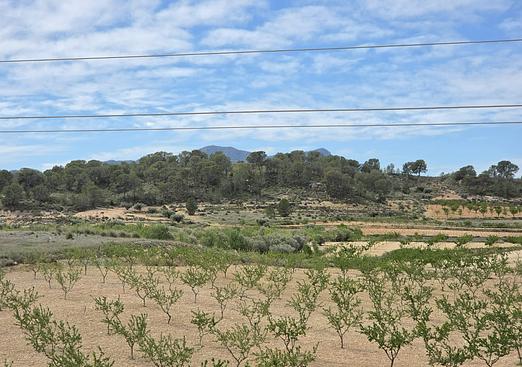 Land in Jumilla