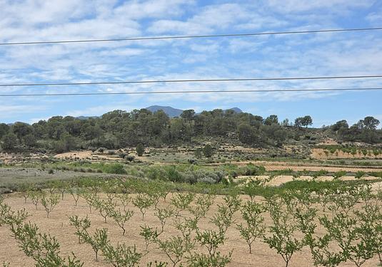 Land in Jumilla
