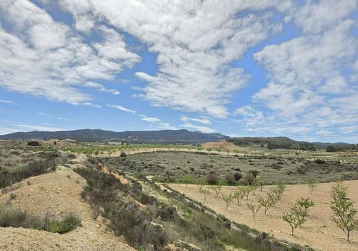 Land in Jumilla