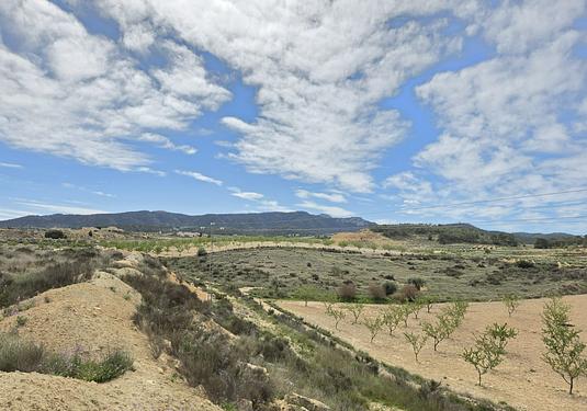 Land in Jumilla